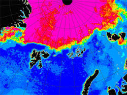 Льодовитий океан, комп'ютерна обробка фото з супутника Aqua AMSR-E від 24 серпня 2006 року. У центрі вгорі – Північний полюс. Крига знаходиться значно північніше за архіпелаги (справа наліво): Північної Землі, Землі Франца-Йосипа, Свальбарда. Паковий лід показаний фіолетовим. Зображення з сайту Європейського космічного агентства.