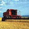 Україна зазнає величезних збитків через введення квотування експорту зерна 