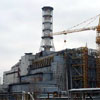 У Чорнобилі виявлені гриби, що харчуються радіацією