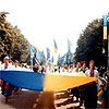 Наступу україножерів «Свобода» протиставляє Марш захисту Українців