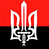 “Правий сектор” оголосив вимоги до влади та підняв бойову тривогу через події в Мукачеві