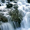 “Пам`ять води” та зародження живої матерії. Біорезонансні ефекти  