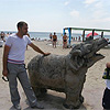В Коблево на пляжі відкопали 2-тонного слона