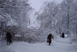 Уряд вимагає переглянути тарифи ЖКГ