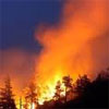 Лісові пожежі в Україні поки що вдається приборкувати