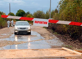 У Киргизстані зареєстровано випадки захворювання на бубонну чуму