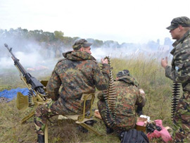 Смешко: потрібна політична воля для розгортання територіальної самооборони