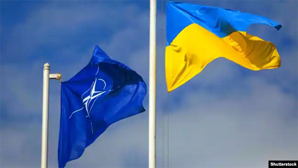 Членство України в НАТО підтримують 54% українців