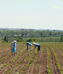  «Аграрна реформа» та її наслідки