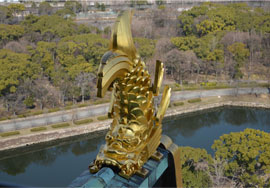 Осака. “Коник” даху замку Тойотомі Хідейосі у вигляді коропа, що дістався до вершини палацу і тому перетворюється на дракона